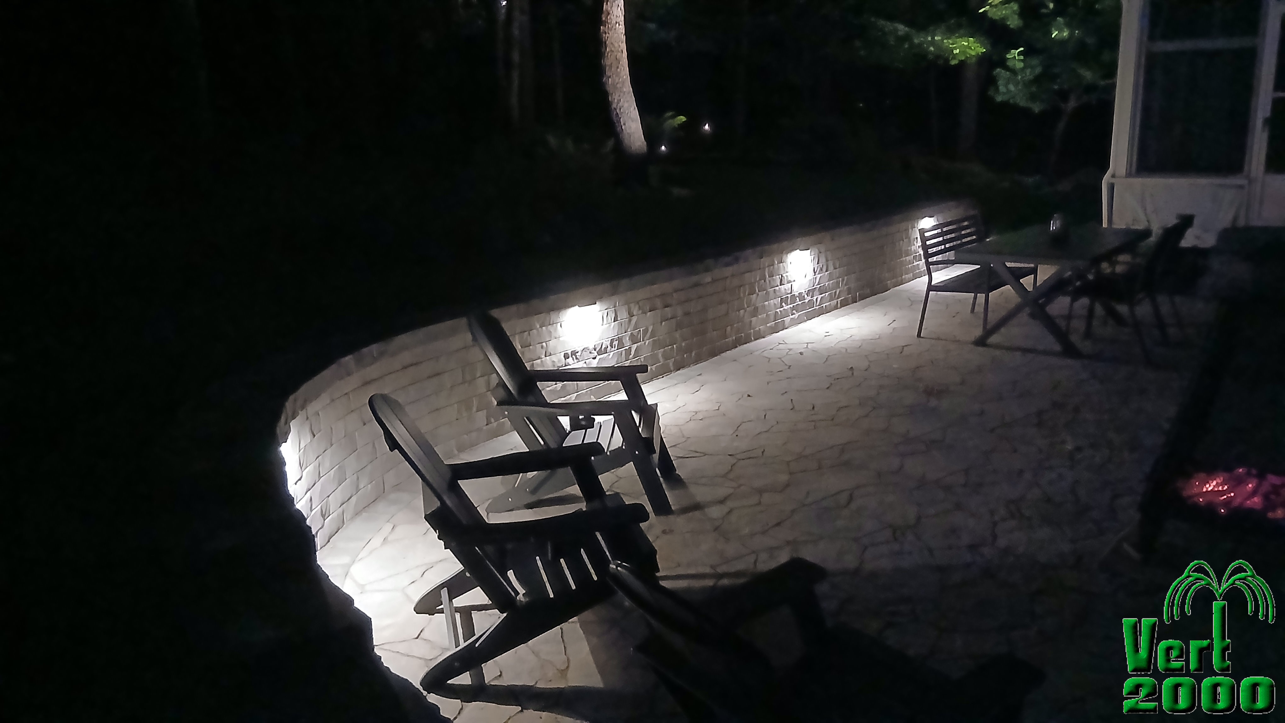 Arbre au bord du lac